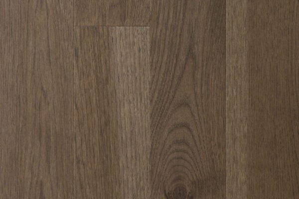 Hickory Bronzite